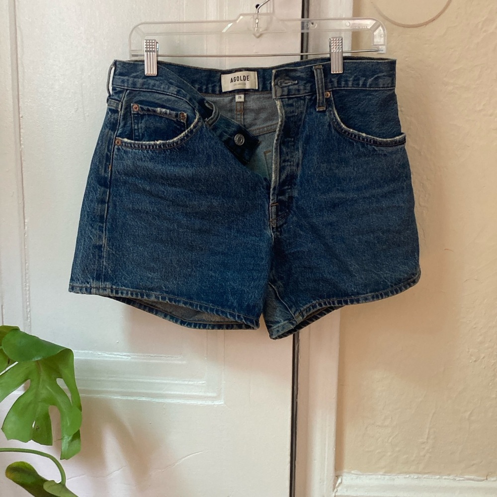 Agolde Parker Long Short in Enamour, Size 28